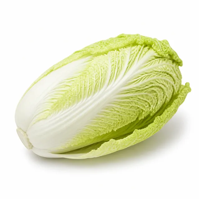Cabbage (Napa)