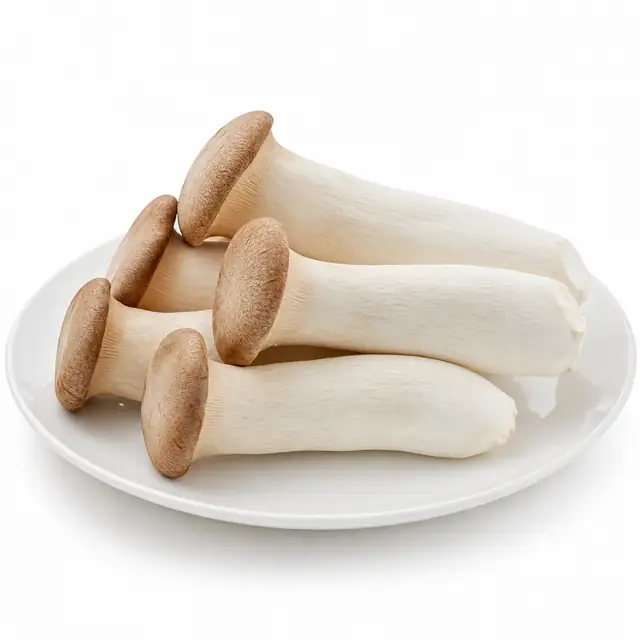 King Oyster Mushroom