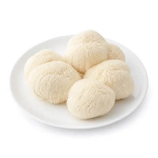 Lion’s Mane Mushroom