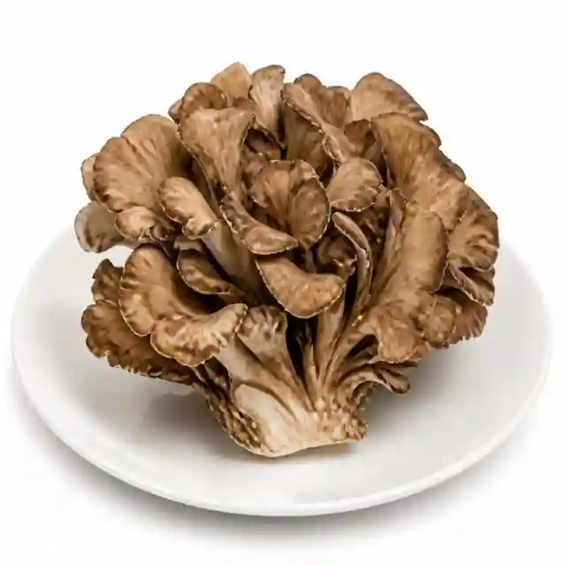 Maitake Mushroom