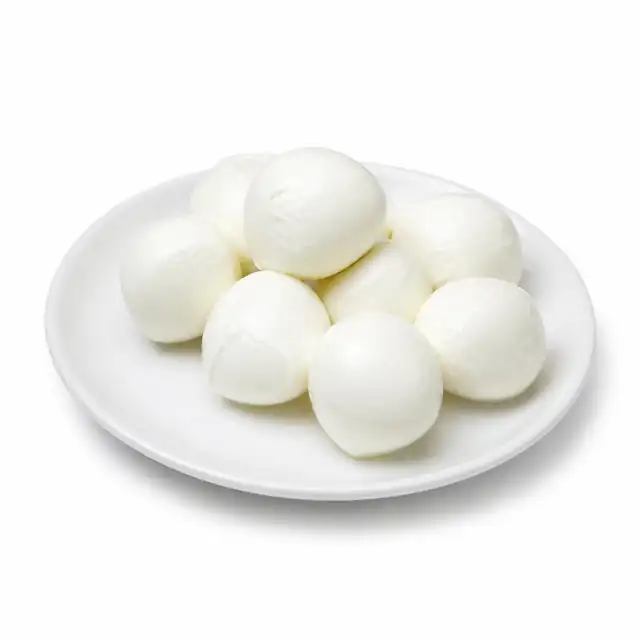 Mozzarella Cheese
