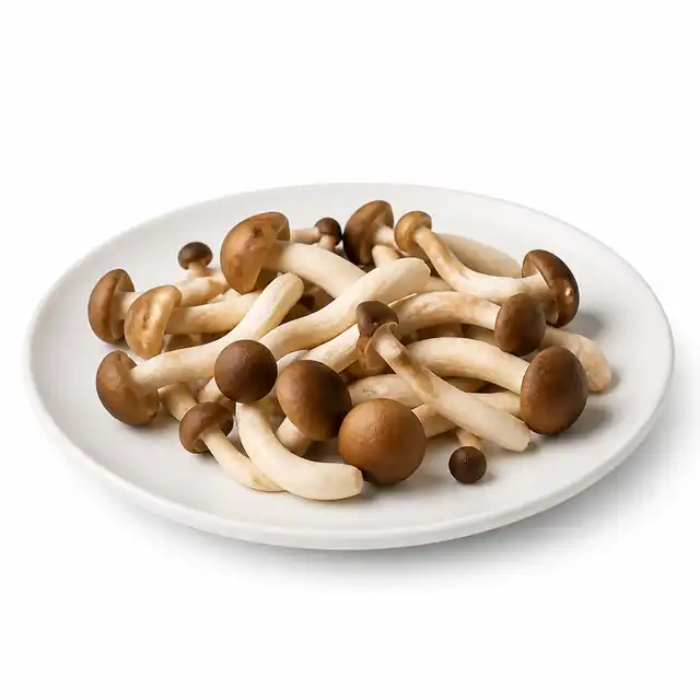 Pioppini Mushroom