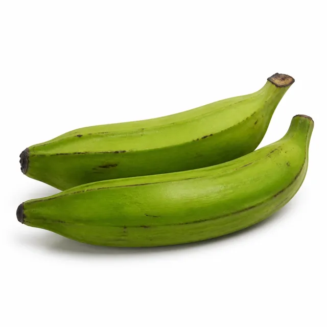 Plantains (Underripe)