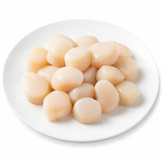 Scallops (Bay)