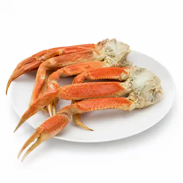 Snow Crab