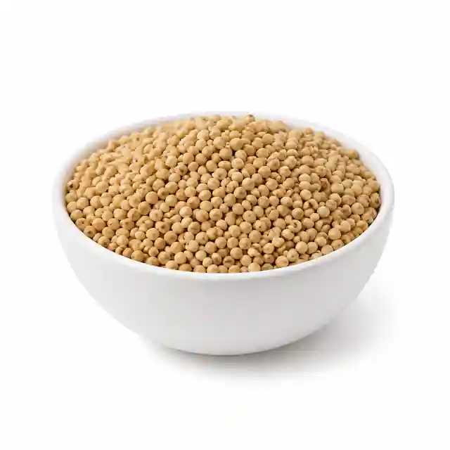 Sorghum