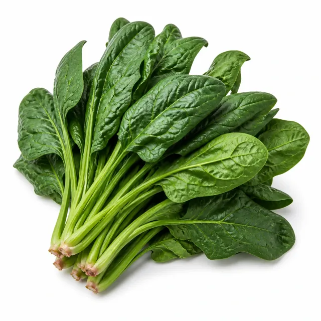 Spinach (Mature)