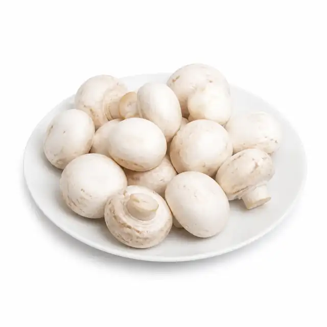 White Button Mushroom