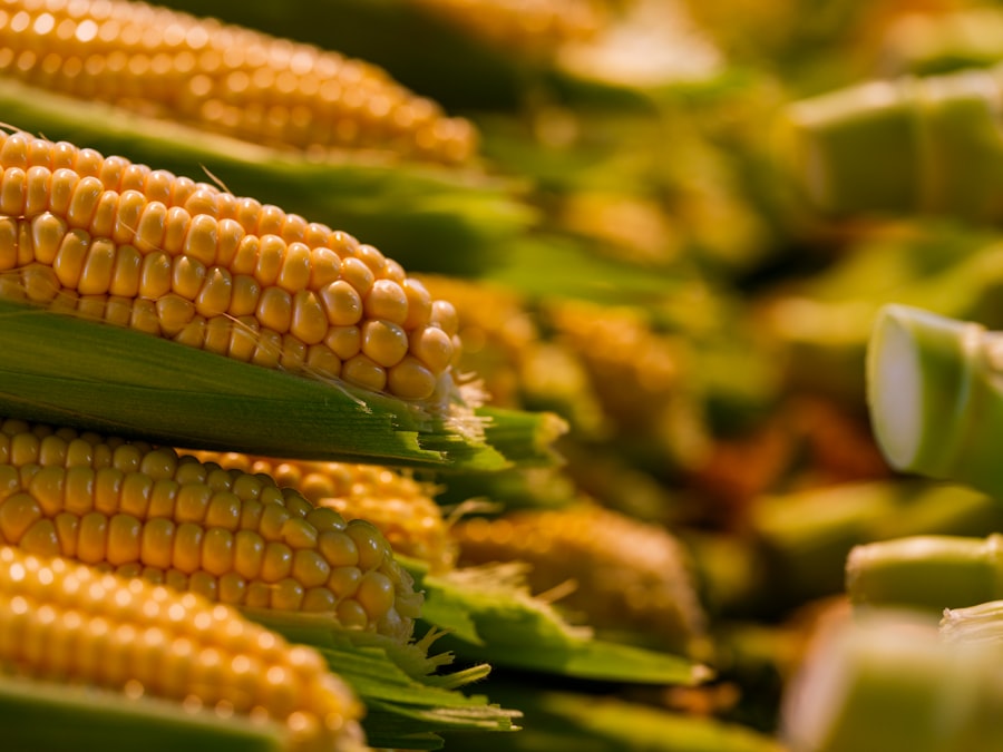 Top Vitamin D-Rich Foods to Add to Your Diet
