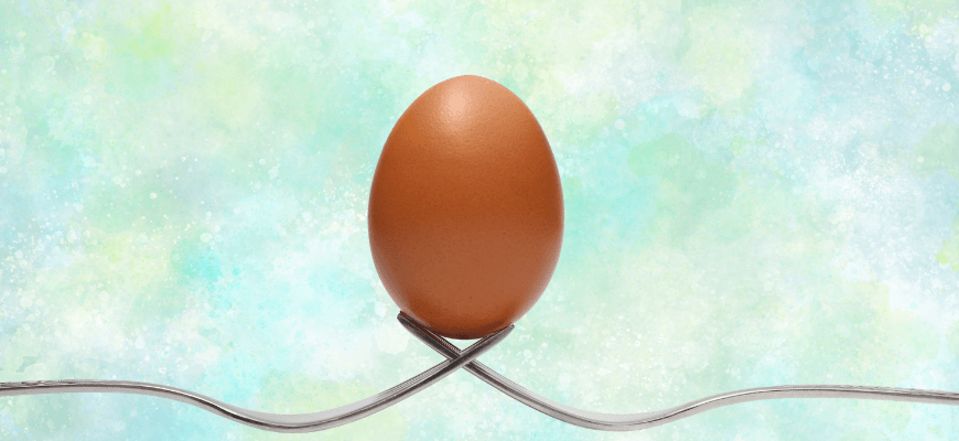 A Most Egg-cellent Food