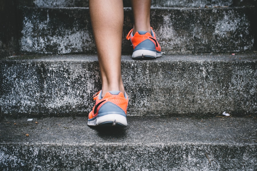 The Connection Between Nutrition and Exercise