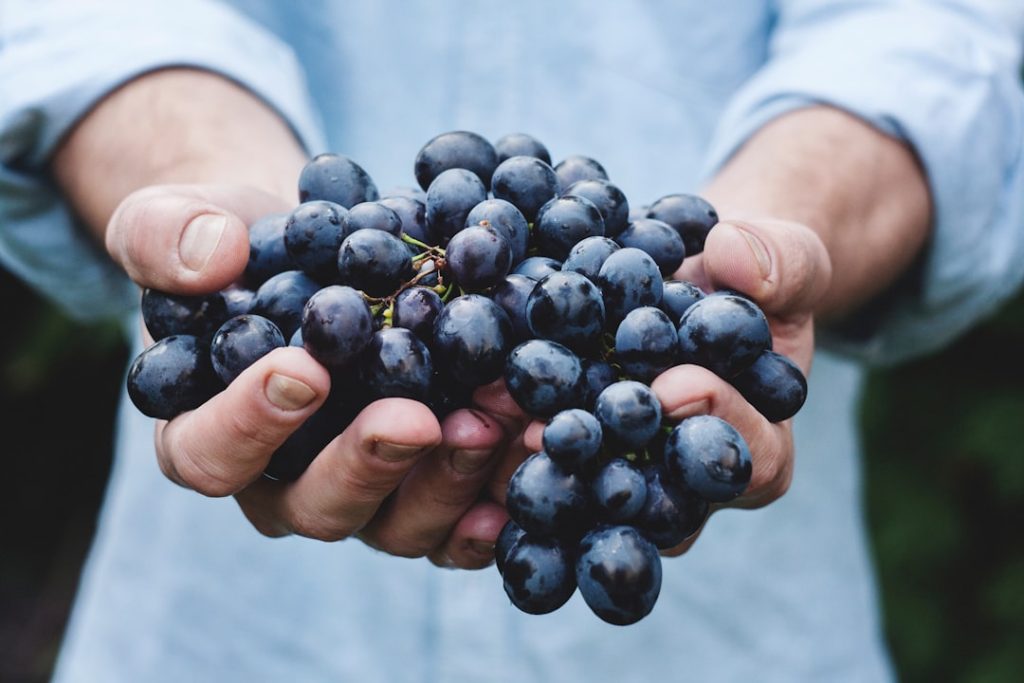 Mindful Eating: Top Apps for Healthier Habits