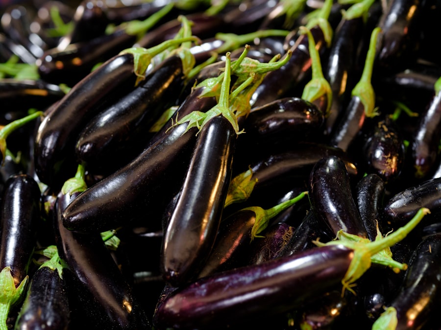 Top Vitamin D-Rich Foods to Add to Your Diet