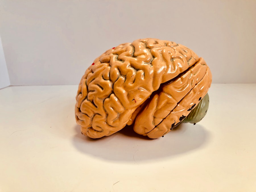 Fuel Your Brain with Nutritious Foods